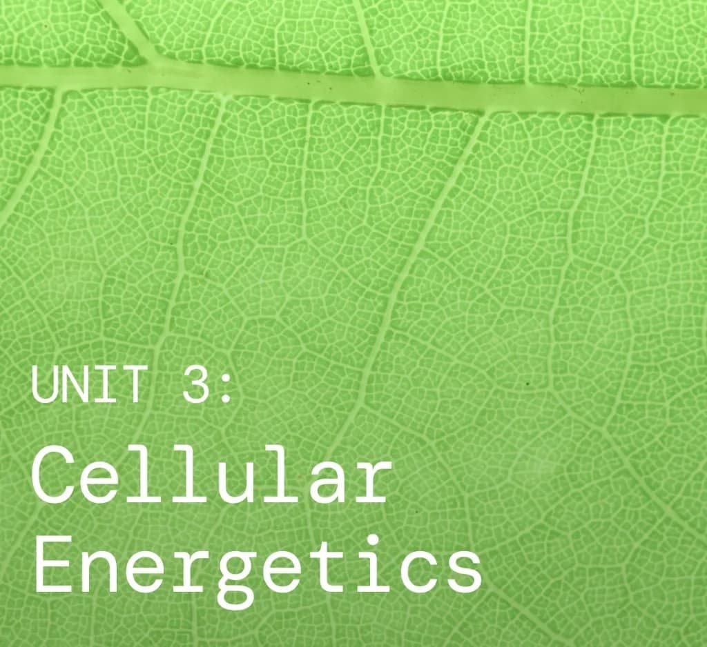 AP Biology study graphic for Unit 3: Cellular Energetics on a green leaf background